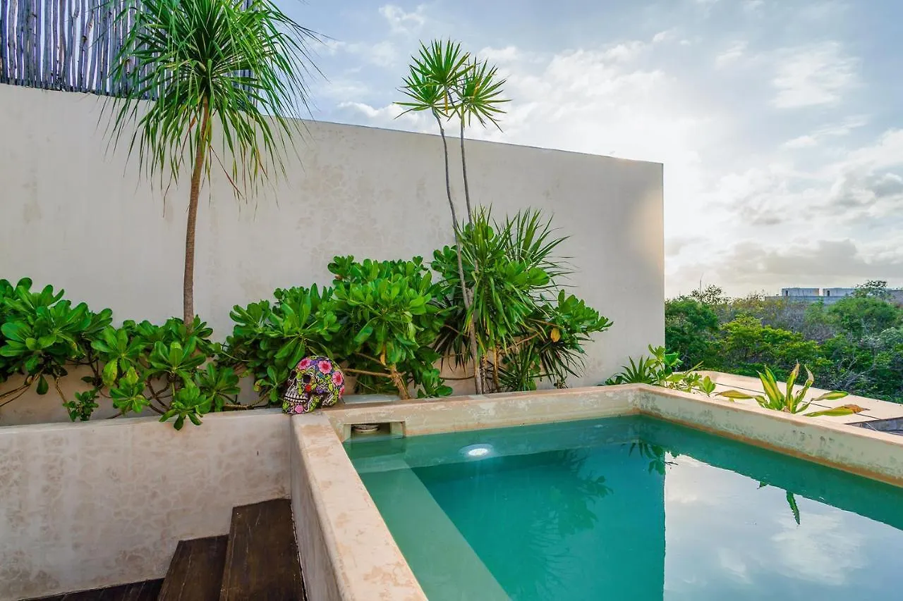 Jungle Luxury In Private Residential Area & Stunning Rooftop By Stella Rentals Tulum